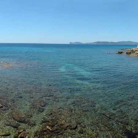 Alkira *